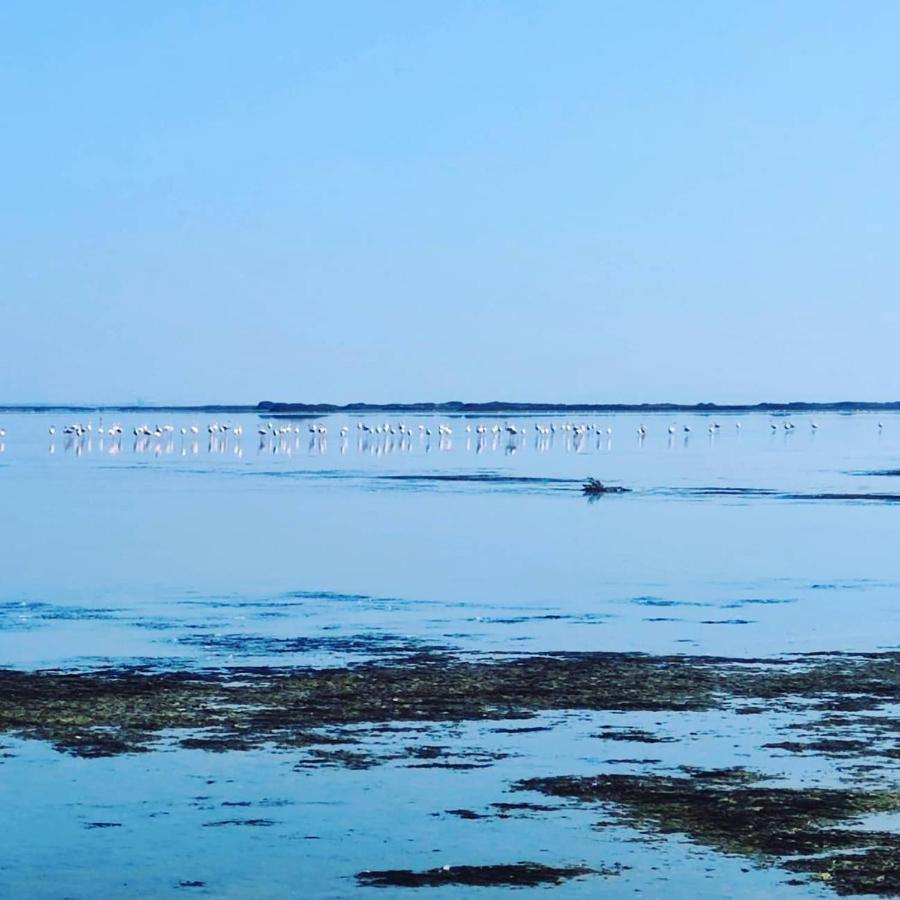 Au Coeur Des Rizieres Salin-de-Giraud